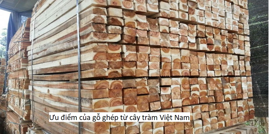 Ưu điểm của gỗ ghép từ cây tràm Việt Nam